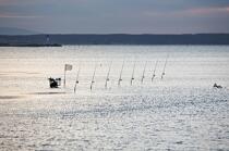 Pêche a la ligne dans le chenal de Port Napoléon © Philip Plisson / Plisson La Trinité / AA17693 - Nos reportages photos - Type de pêche
