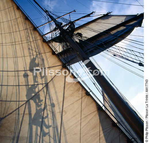 Dans les voiles de l'Esmeralda. - © Philip Plisson / Plisson La Trinité / AA17743 - Nos reportages photos - Déco Marine