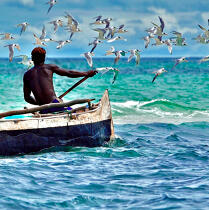 Pêche malgache © Philip Plisson / Plisson La Trinité / AA17749 - Nos reportages photos - Anakao