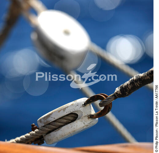 A bord du Belem. - © Philip Plisson / Plisson La Trinité / AA17766 - Nos reportages photos - Elément d'un bateau