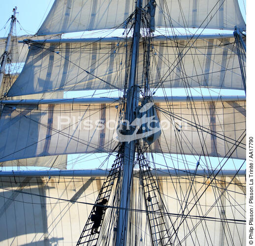 In the mast of Belem. - © Philip Plisson / Plisson La Trinité / AA17790 - Photo Galleries - Rigging