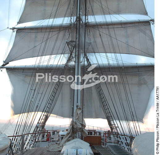 In the mast of Belem. - © Philip Plisson / Plisson La Trinité / AA17791 - Photo Galleries - Rigging