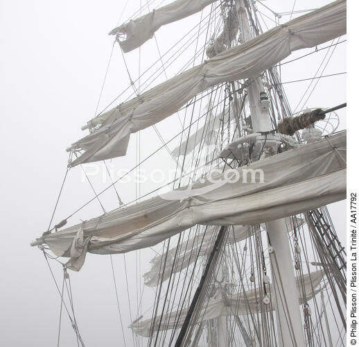 In the mast of Belem. - © Philip Plisson / Plisson La Trinité / AA17792 - Photo Galleries - Rigging