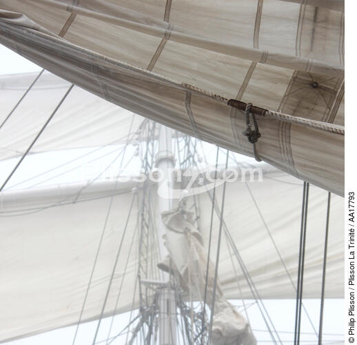 In the mast of Belem. - © Philip Plisson / Plisson La Trinité / AA17793 - Photo Galleries - Rigging