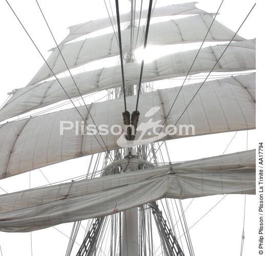 In the mast of Belem. - © Philip Plisson / Plisson La Trinité / AA17794 - Photo Galleries - Tall ships