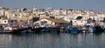 Port de Tanger © Philip Plisson / Plisson La Trinité / AA17853 - Nos reportages photos - Tanger
