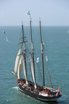Semaine du Golfe 2007. © Philip Plisson / Plisson La Trinité / AA17885 - Photo Galleries - Three-masted schooner with topsails