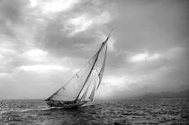 Mariquita. © Philip Plisson / Plisson La Trinité / AA17923 - Photo Galleries - J Class yacht