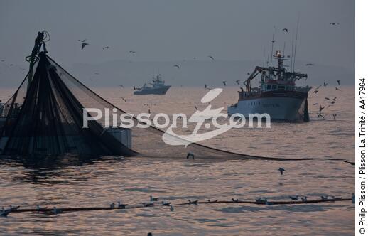 Pêche a la sardines au petit matin - © Philip Plisson / Plisson La Trinité / AA17964 - Nos reportages photos - Sardine