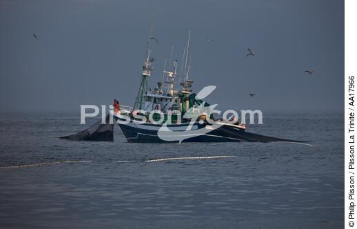 Pêche a la sardines au petit matin - © Philip Plisson / Plisson La Trinité / AA17966 - Nos reportages photos - La pêche à la sardine