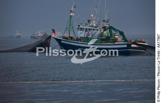 Pêche a la sardines au petit matin - © Philip Plisson / Plisson La Trinité / AA17967 - Nos reportages photos - Sardine