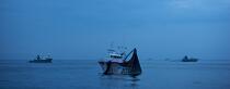 Pêche a la sardines au petit matin © Philip Plisson / Plisson La Trinité / AA17968 - Nos reportages photos - Soleil