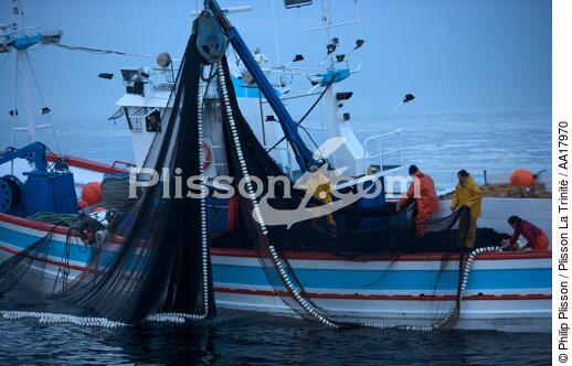 Pêche a la sardines au petit matin - © Philip Plisson / Plisson La Trinité / AA17970 - Nos reportages photos - Poisson