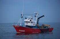 Pêche a la sardines au petit matin © Philip Plisson / Plisson La Trinité / AA17971 - Nos reportages photos - Mer