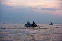 Pêche a la sardines au petit matin © Philip Plisson / Plisson La Trinité / AA17973 - Nos reportages photos - La pêche à la sardine