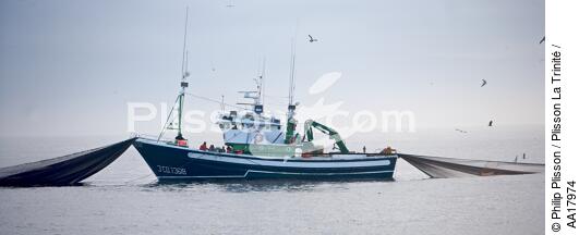 Pêche a la sardines au petit matin - © Philip Plisson / Plisson La Trinité / AA17974 - Nos reportages photos - Pêcheur