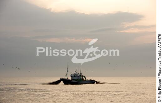 Pêche a la sardines au petit matin - © Philip Plisson / Plisson La Trinité / AA17976 - Nos reportages photos - Poisson