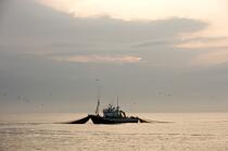 Pêche a la sardines au petit matin © Philip Plisson / Plisson La Trinité / AA17976 - Nos reportages photos - Lever de soleil
