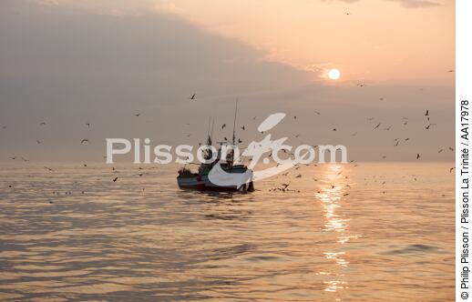 Pêche a la sardines au petit matin - © Philip Plisson / Plisson La Trinité / AA17978 - Nos reportages photos - Lever de soleil