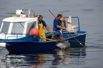 Pêche a la palourde dans la ria de Vigo © Philip Plisson / Plisson La Trinité / AA17987 - Nos reportages photos - Mollusque