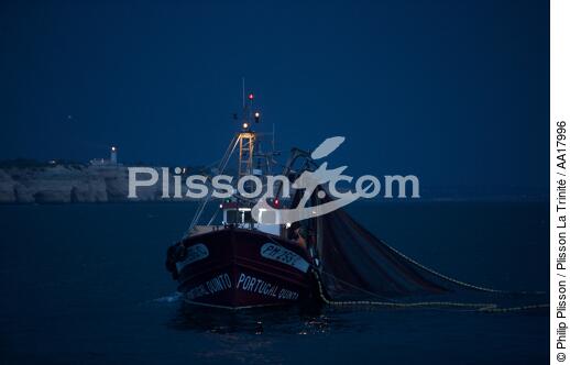 Pêche a la Sardines sur la Côte d'Algarve - © Philip Plisson / Plisson La Trinité / AA17996 - Nos reportages photos - Sardine