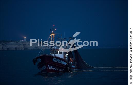 Pêche a la Sardines sur la Côte d'Algarve - © Philip Plisson / Plisson La Trinité / AA17997 - Nos reportages photos - Portugal