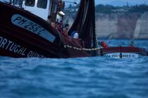 Pêche a la Sardines sur la Côte d'Algarve © Philip Plisson / Plisson La Trinité / AA18003 - Nos reportages photos - Pêche à la senne