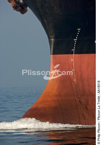 Cargo stem - © Philip Plisson / Plisson La Trinité / AA18018 - Photo Galleries - Bulb
