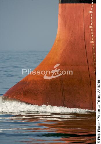 Cargo stem - © Philip Plisson / Plisson La Trinité / AA18019 - Photo Galleries - Bulb