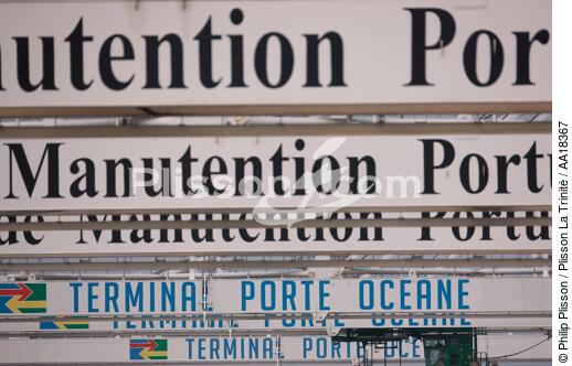 Portiques dans le port du Havre. - © Philip Plisson / Plisson La Trinité / AA18367 - Nos reportages photos - Porte-conteneurs, la démesure