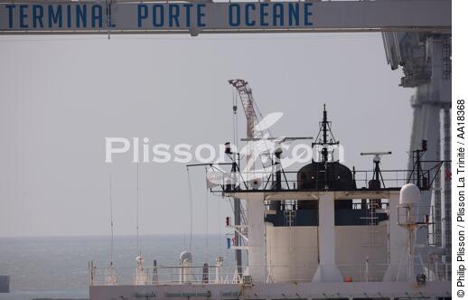 Portiques dans le port du Havre. - © Philip Plisson / Plisson La Trinité / AA18368 - Nos reportages photos - Porte-conteneurs