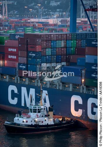 Container ship in Hamburg - © Philip Plisson / Plisson La Trinité / AA18398 - Photo Galleries - Town [D]