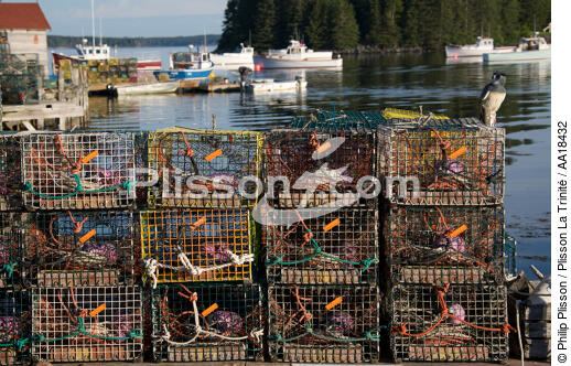 Port Clyde - © Philip Plisson / Plisson La Trinité / AA18432 - Nos reportages photos - Maine