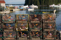 Port Clyde © Philip Plisson / Plisson La Trinité / AA18432 - Photo Galleries - Lobster pot