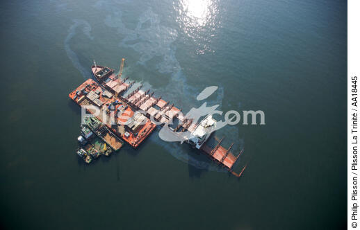 MSC Napoli container ship. - © Philip Plisson / Plisson La Trinité / AA18445 - Photo Galleries - Calm sea