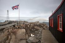 Port Lockroy en Antarctique. © Philip Plisson / Plisson La Trinité / AA18619 - Nos reportages photos - Site (Antarctique)
