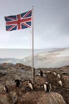 Port Lockroy in Antarctica. © Philip Plisson / Plisson La Trinité / AA18622 - Photo Galleries - Flag
