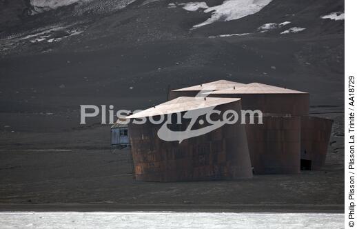 L'île de la déception en Antarctique. - © Philip Plisson / Plisson La Trinité / AA18729 - Nos reportages photos - Ile de la Déception