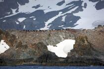 Antarctique. © Philip Plisson / Plisson La Trinité / AA18754 - Nos reportages photos - Manchot