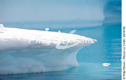 Antarctique. - © Philip Plisson / Plisson La Trinité / AA18756 - Nos reportages photos - Antarctique
