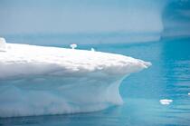 Antarctique. © Philip Plisson / Plisson La Trinité / AA18756 - Nos reportages photos - Glace