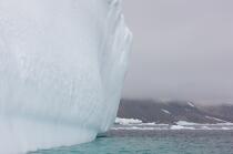 Brown Bluff in Antarctica. © Philip Plisson / Plisson La Trinité / AA18844 - Photo Galleries - Iceberg