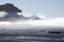 Brown Bluff en Antarctique. © Philip Plisson / Plisson La Trinité / AA18847 - Nos reportages photos - Brown Bluff