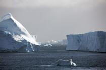 Antarctique. © Philip Plisson / Plisson La Trinité / AA18869 - Nos reportages photos - Glace