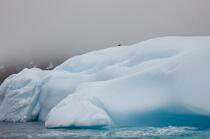 Antarctique. © Philip Plisson / Plisson La Trinité / AA18875 - Nos reportages photos - Glace