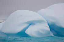 Antarctique. © Philip Plisson / Plisson La Trinité / AA18877 - Nos reportages photos - Antarctique