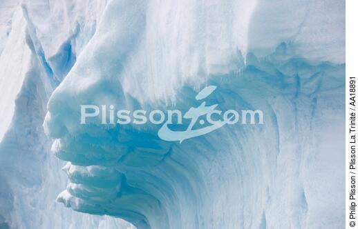 Antarctica. - © Philip Plisson / Plisson La Trinité / AA18891 - Photo Galleries - Ice