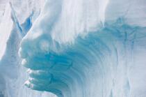 Antarctique. © Philip Plisson / Plisson La Trinité / AA18891 - Nos reportages photos - Glace