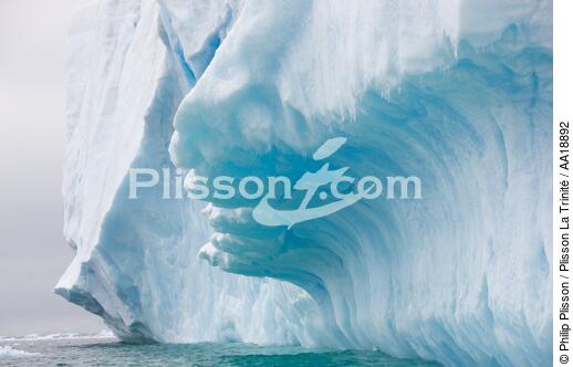 Antarctique. - © Philip Plisson / Plisson La Trinité / AA18892 - Nos reportages photos - Antarctique