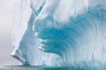 Antarctique. © Philip Plisson / Plisson La Trinité / AA18892 - Nos reportages photos - Glace